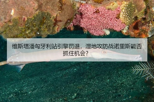 wei-si-ta-pan-xiong-ya-li-zhan-yin-qing-fa-tui-shi-di-gong-fang-zhan-nuo-li-si-neng-fou-zhua-zhu-ji-hui-3-680.jpg