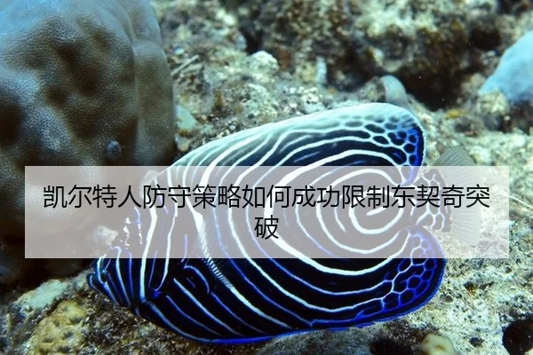 凯尔特人防守策略如何成功限制东契奇突破 - ac Milan